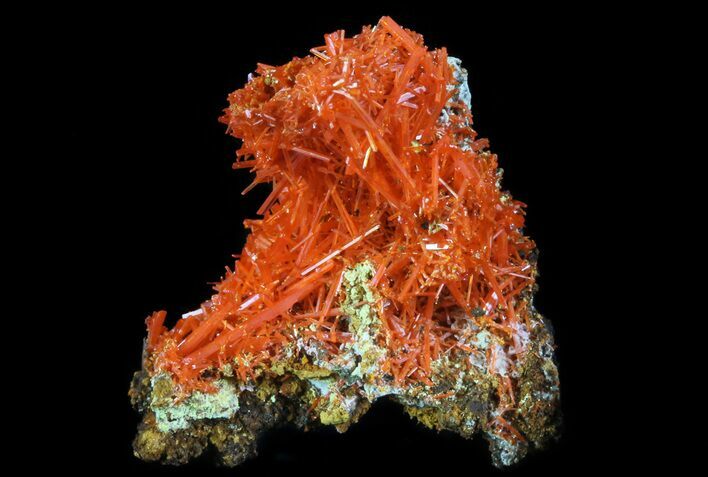 Bright Orange Crocoite Crystals - Tasmania #64329